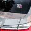 Sassy lip & evil grip sticker.