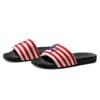 American flag slides with portrait.