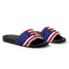 American flag slides with Trump portrait.