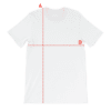 Here's an alt tag for the image: `T-shirt size chart: measurements A and B`