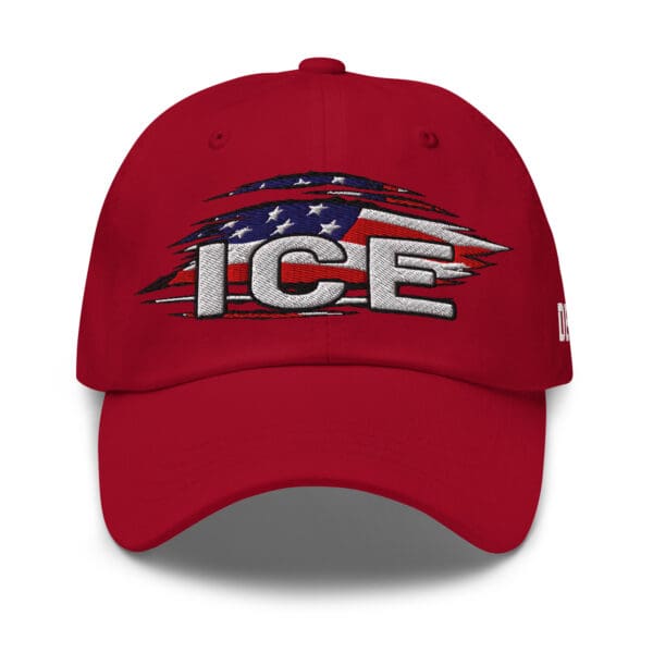 ICE Deport hat "Fast Delivery" #47 Trump MAGA Golden Age USA First - Image 7