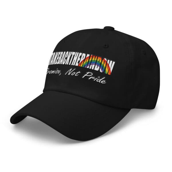 TAKE BACK THE RAINBOW, Christian Anti-Woke hat. Gods Promise Not Pride ball cap - Image 6