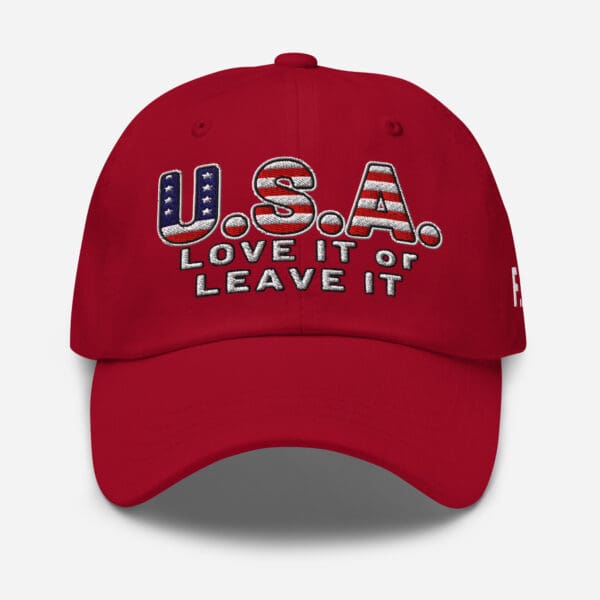 USA LOVE it or LEAVE It! MAGA ICE America First Dad hat. Baseball cap - Image 10