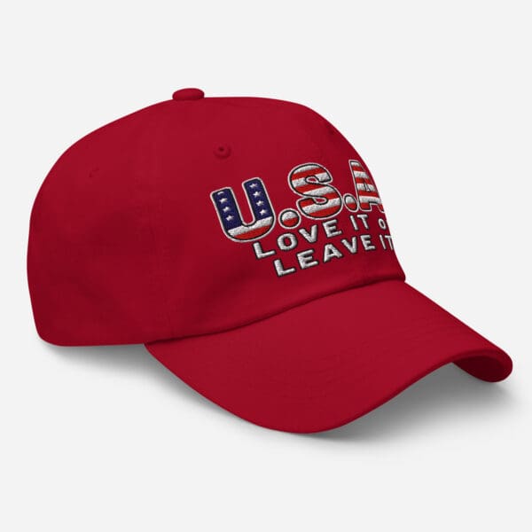 USA LOVE it or LEAVE It! MAGA ICE America First Dad hat. Baseball cap - Image 9
